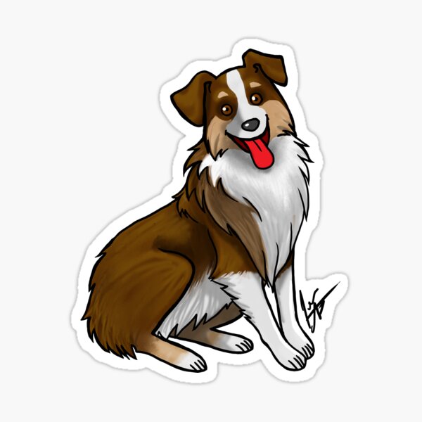 Australian Shepherd - Tri Color Liver Sticker