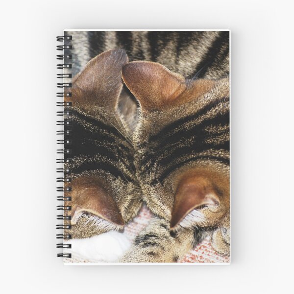 Item preview, Suki and Kaizoe sleeping designed and sold by Nicole Sumner.