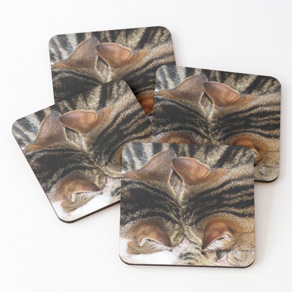 Item preview, Suki and Kaizoe sleeping designed and sold by Nicole Sumner.