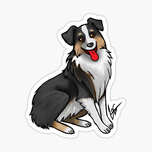 Australian Shepherd - Black Tri-Color Sticker