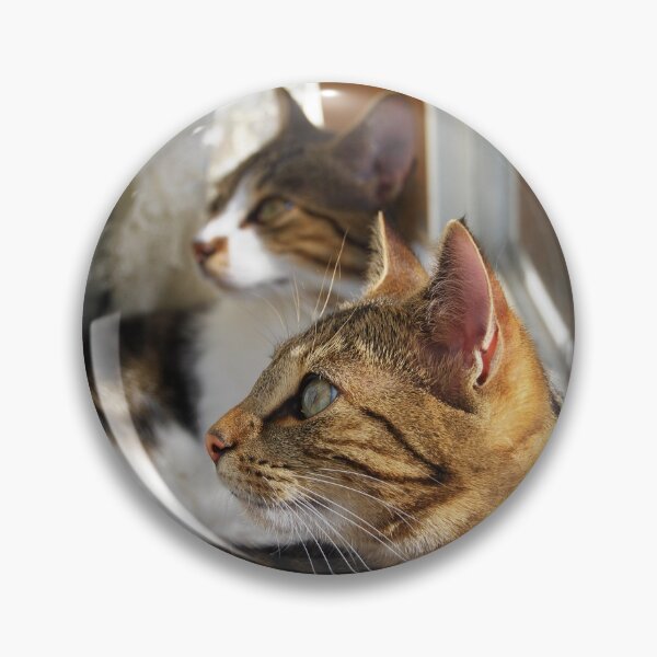 Item preview, Suki and Kaizoe designed and sold by Nicole Sumner.