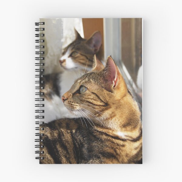 Item preview, Suki and Kaizoe designed and sold by Nicole Sumner.