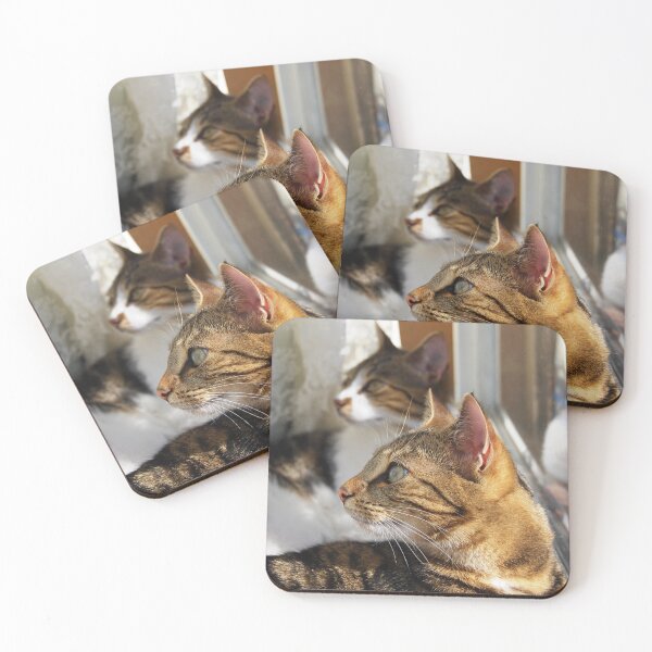 Item preview, Suki and Kaizoe designed and sold by Nicole Sumner.