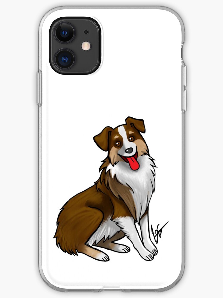 liver australian shepherd