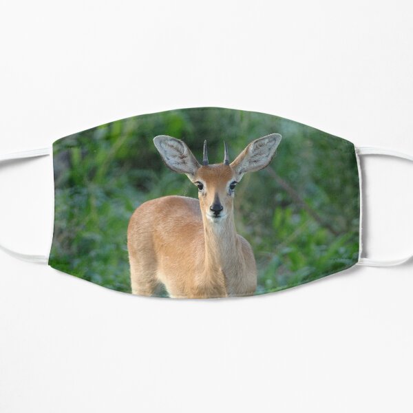 Steinbuck male Mask