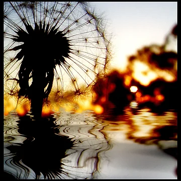Artwork thumbnail, LIQUID ABSTRACT by webgrrl