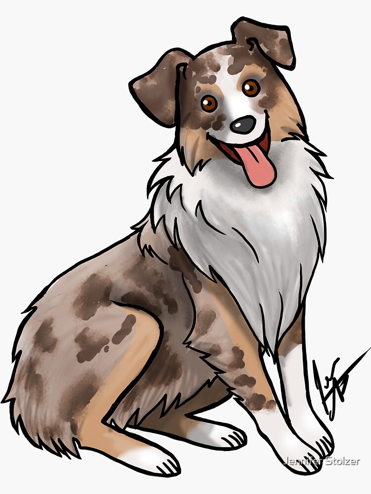 Australian Shepherd - Red Merle by jameson9101322