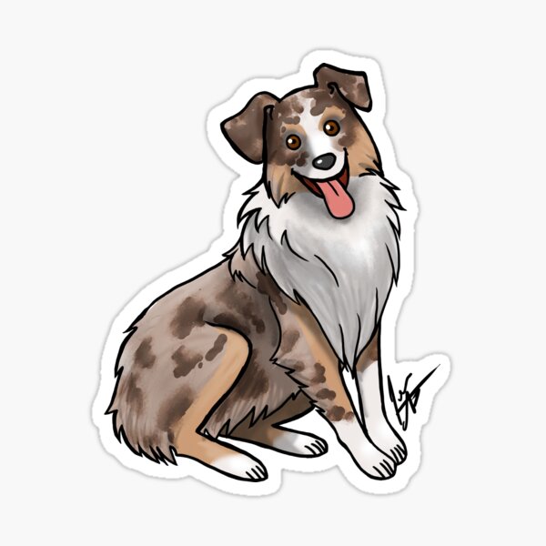 Australian Shepherd - Red Merle Sticker