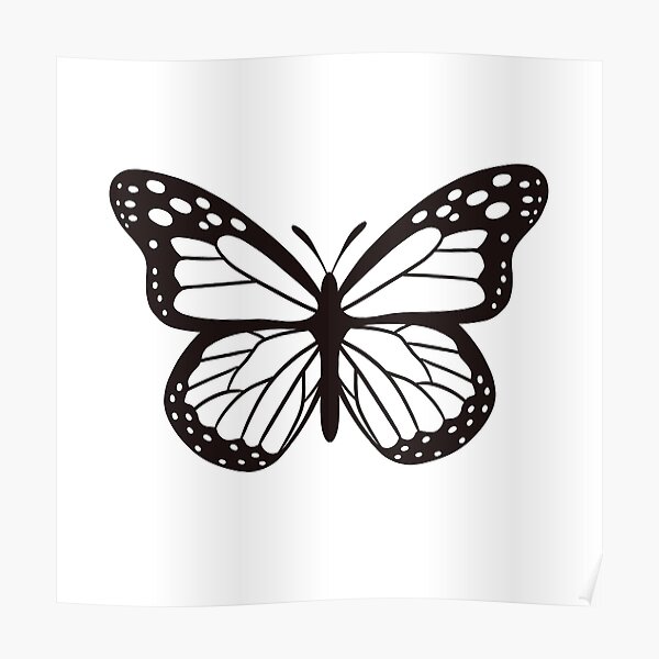 "Black and White Butterfly" Poster for Sale by NicoleWilsonart Redbubble