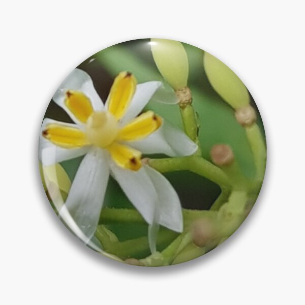 Item preview, masterpiece of nature designed and sold by ikn8chris.