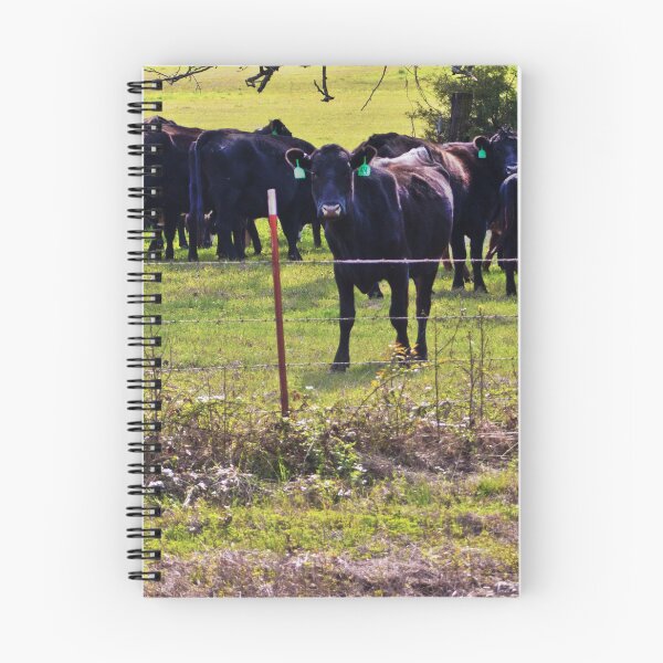 Item preview, Cows designed and sold by Troy Green.