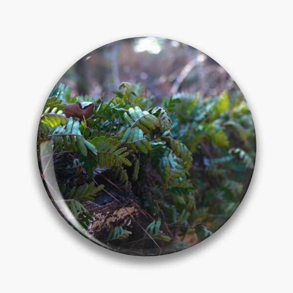 Item preview, Regrowth designed and sold by Troy Green.