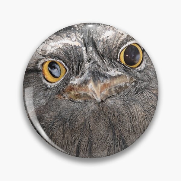 Item preview, Tawny Frogmouth Portrait designed and sold by Carole-Anne.