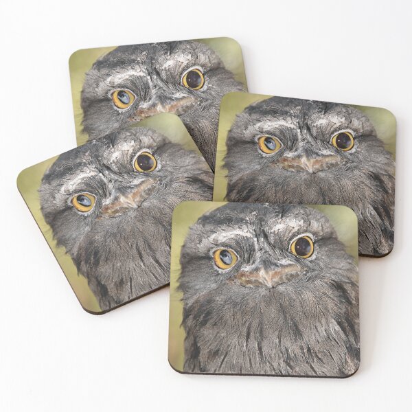 Item preview, Tawny Frogmouth Portrait designed and sold by Carole-Anne.