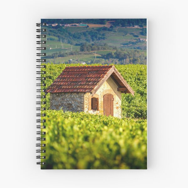 Item preview, Hut in vineyards of Beaujolais designed and sold by Gaël FONTAINE.