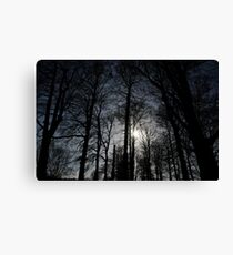 Treelight Canvas Print