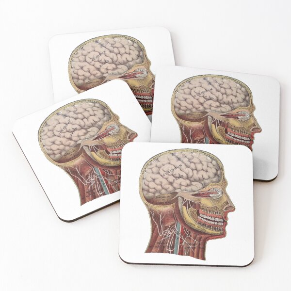Item preview, Vintage Human Head Anatomy designed and sold by missdebi27.