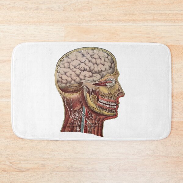 Item preview, Vintage Human Head Anatomy designed and sold by missdebi27.