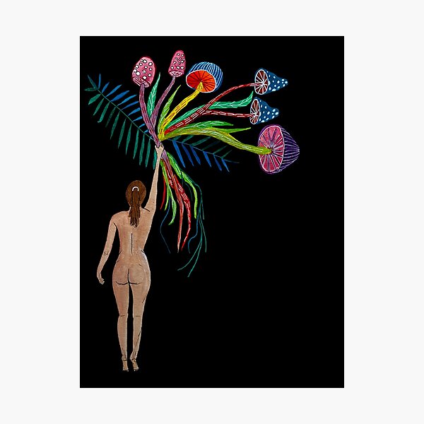 Mushroom Bouquet Photographic Print