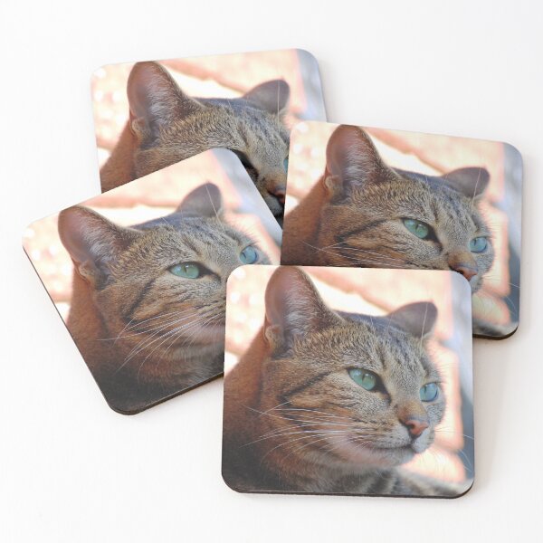 Item preview, Suki contemplating the meaning of life designed and sold by Nicole Sumner.