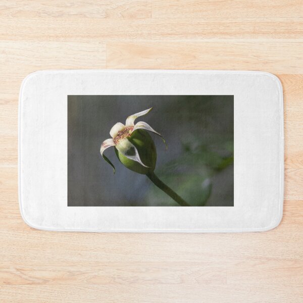 Item preview, Rose Hip designed and sold by David  Hibberd.