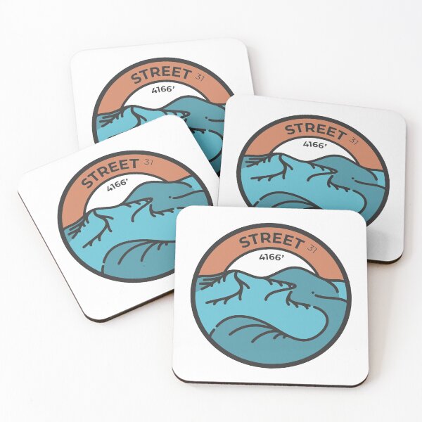 Item preview, Adirondack High Peak 31 Street Badge designed and sold by mountainandmoor.
