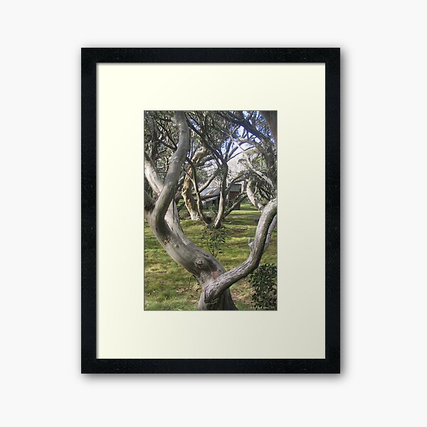Item preview, Wallace's Hut, Bogong High Plains, Vic designed and sold by Geoffrey Grinton.