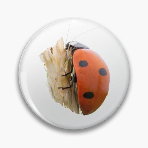 Item preview, Seven-spot The bug that brings luck-Mariquita de 7 puntos designed and sold by josesita.