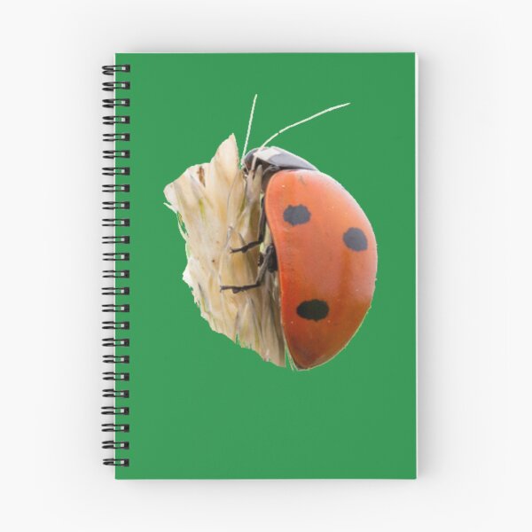 Item preview, Seven-spot The bug that brings luck-Mariquita de 7 puntos designed and sold by josesita.