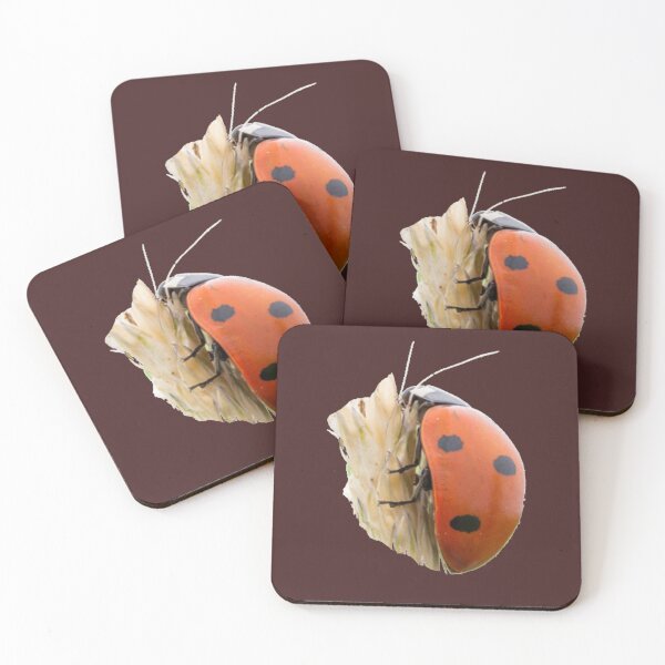 Item preview, Seven-spot The bug that brings luck-Mariquita de 7 puntos designed and sold by josesita.