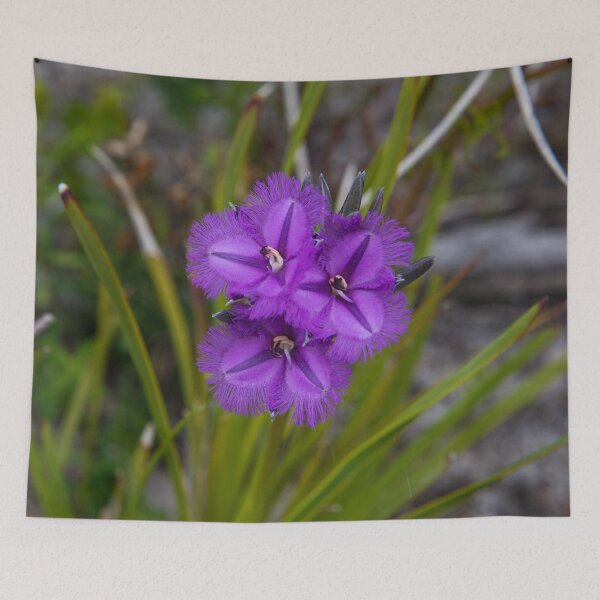 Item preview, Fringed Lilies designed and sold by maritahills.