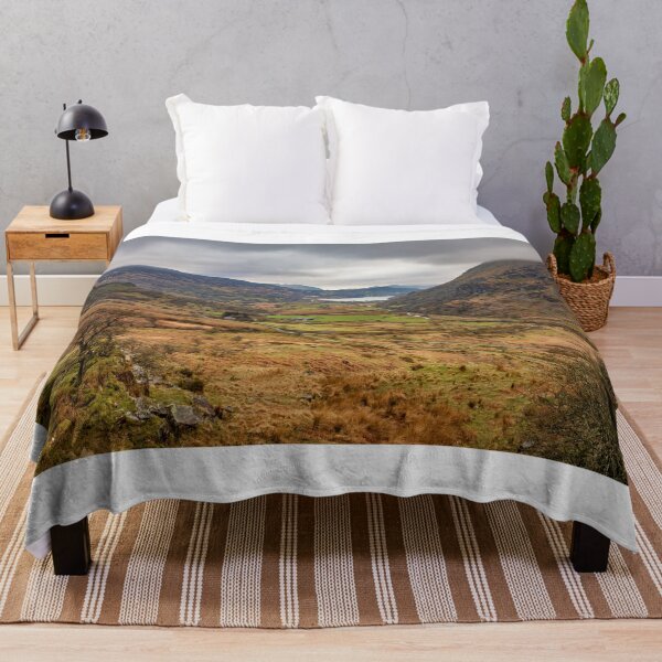 Item preview, Looking down the valley to Llyn Gwynant, Snowdonia designed and sold by Dan Santillo.
