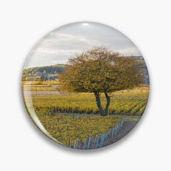 Item preview, Fall colors on landscape of Beaujolais designed and sold by Gaël FONTAINE.