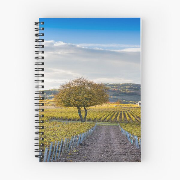 Item preview, Fall colors on landscape of Beaujolais designed and sold by Gaël FONTAINE.