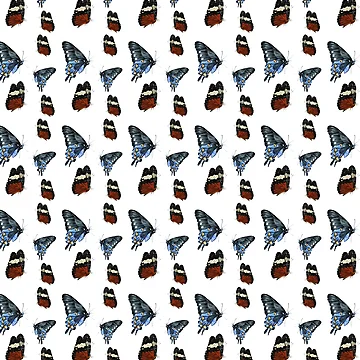 Artwork thumbnail, Butterfly pattern by Rakesh Murugan