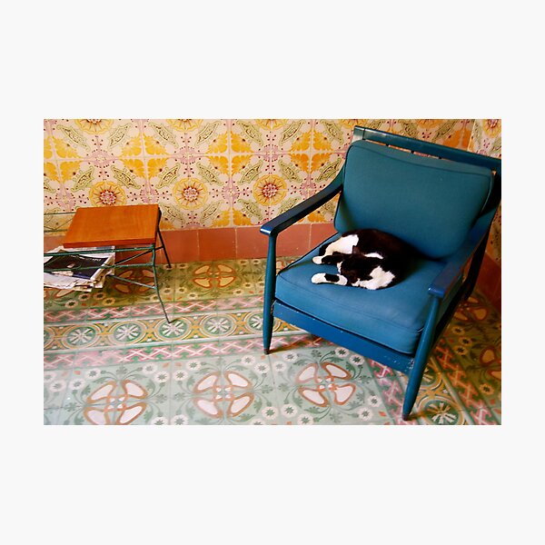 Artikelvorschau, Sleeping Cat entworfen und verkauft von Timothy State.