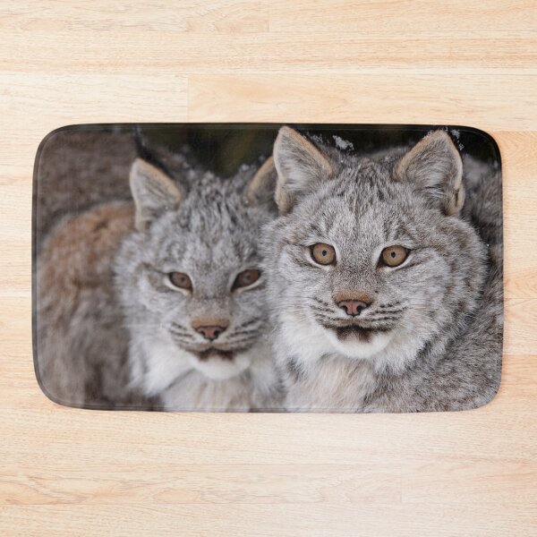 Item preview, Lynx Kittens designed and sold by mlorenz.