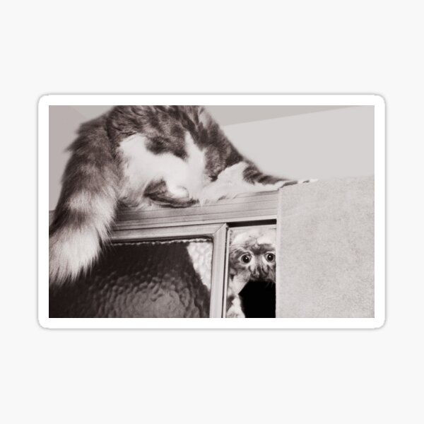 Moments With Max Sticker