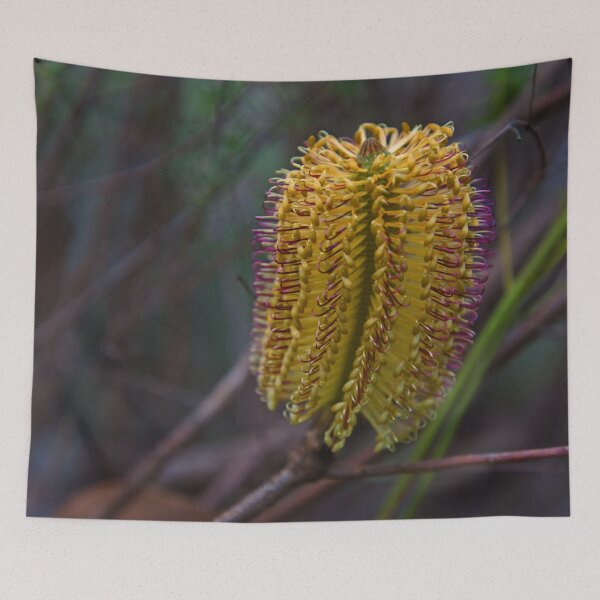 Item preview, Banksia designed and sold by maritahills.