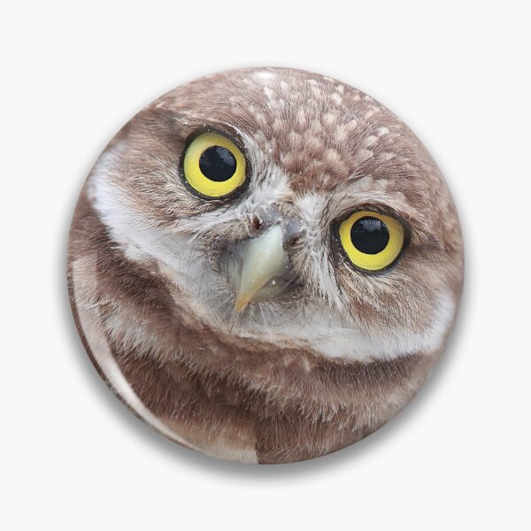Item preview, Burrowing Owlet designed and sold by mlorenz.