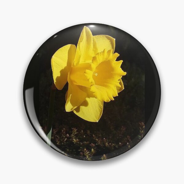 Item preview, Daffodil designed and sold by SarahJones6.