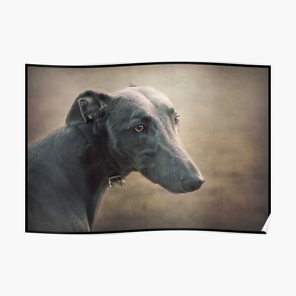 The Sighthound Poster