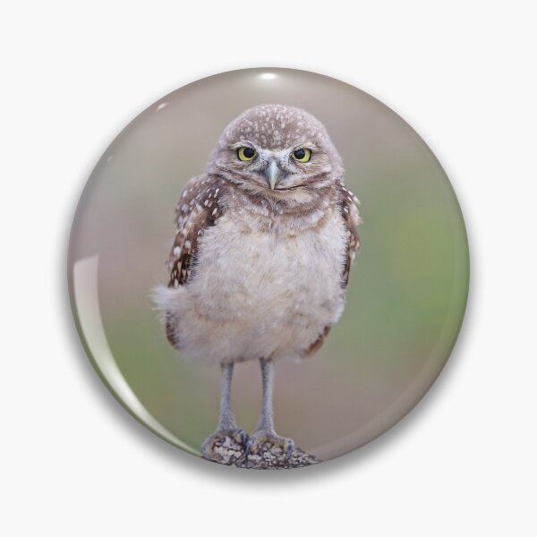 Item preview, Moody Owlet designed and sold by mlorenz.