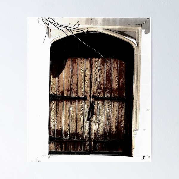 The Branch & Doorway Poster