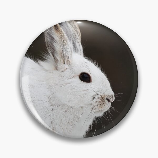 Item preview, Snowshoe Hare designed and sold by mlorenz.