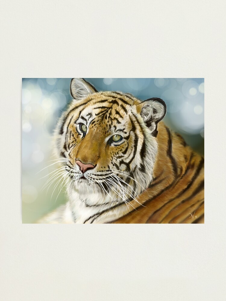 Alternate view of Gentle Photographic Print