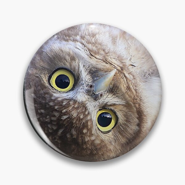 Item preview, I tried to see things your way.  You're still an idiot. designed and sold by mlorenz.
