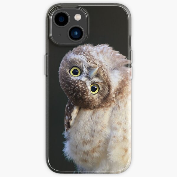 "I tried to see things your way. You're still an idiot." iPhone Case