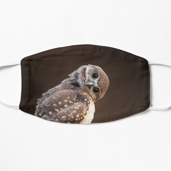 Look At Things From A New Perspective Flat Mask
