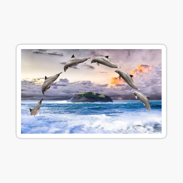 Dolphin ocean surf Sticker